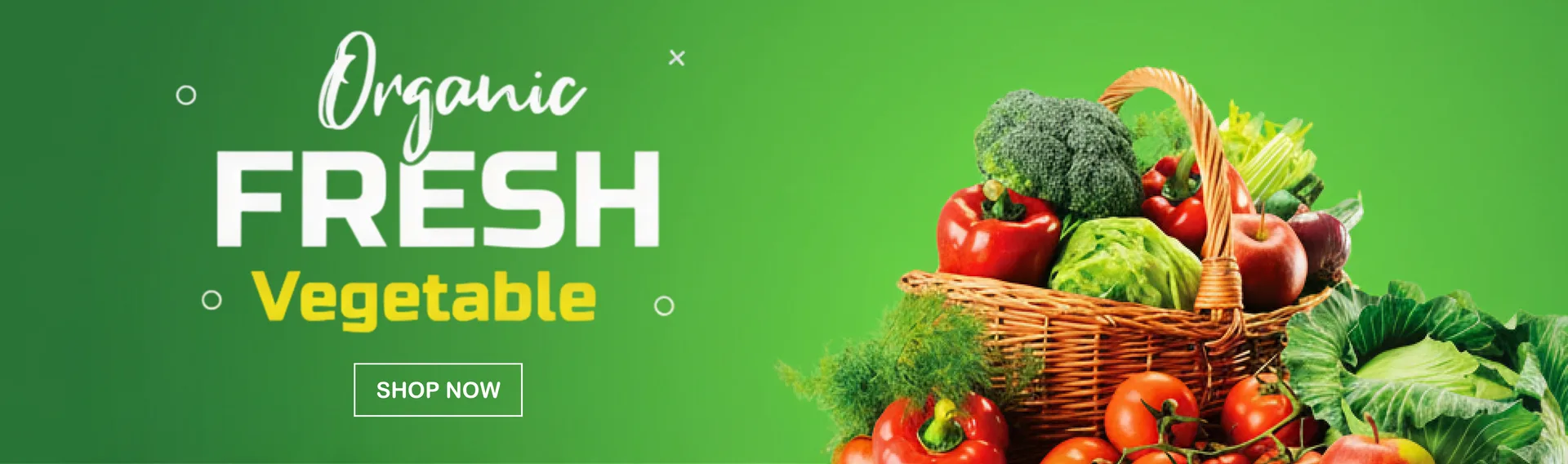 Organic Fresh Vegetable
